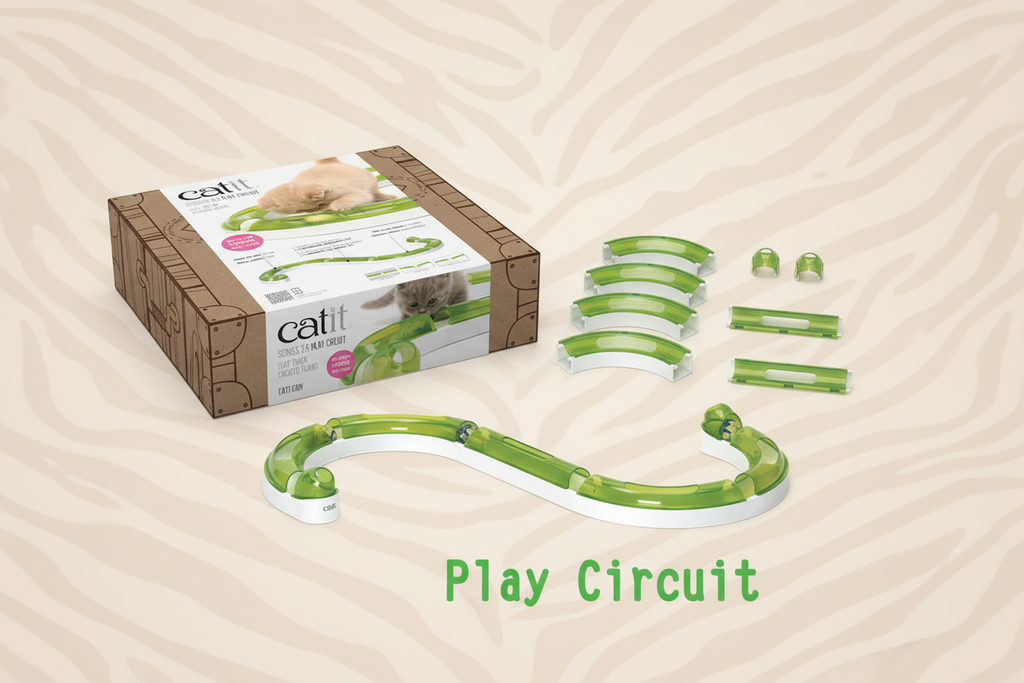 Catit Play Circuit Ball Track Toy