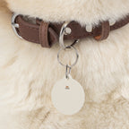 Pet Tag - Toytigris