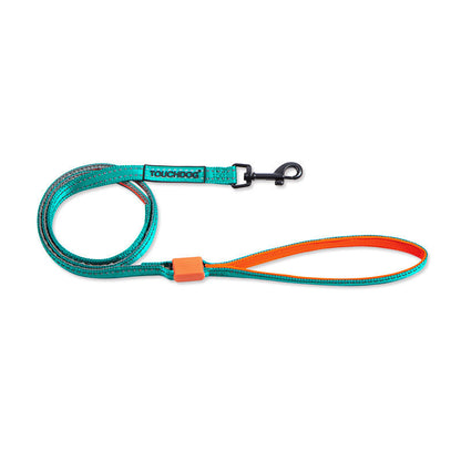 TouchDog LED pet leash set