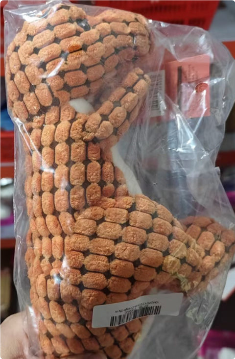 Giant Dinosaur Dog Chew Toy