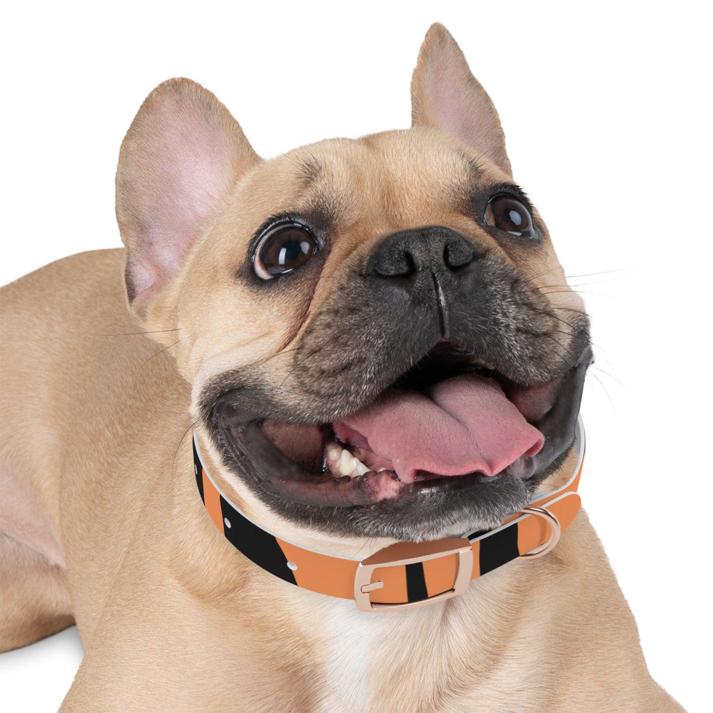 Stylish Tiger Striped Pet Collar