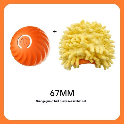 Bite Resistant Smart Dog Toy Ball
