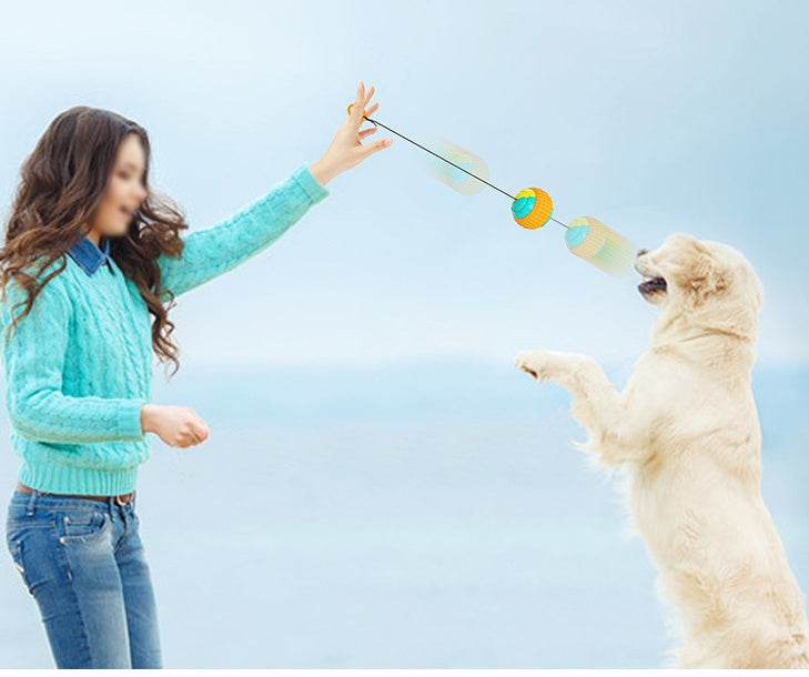 Throwing Ball Bite Resistant Dog Toy