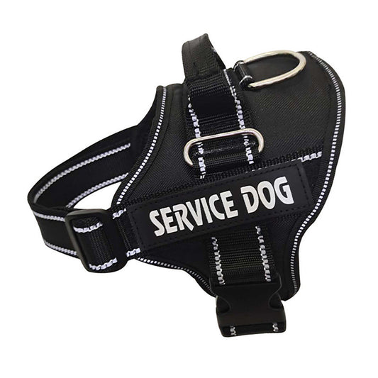 Personalized Reflective No-Pull Dog Harness with Leash