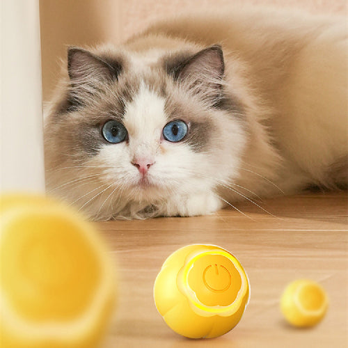 Bite-resistant Interactive Smart Cat Toy Ball