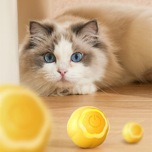 Bite-resistant Interactive Smart Cat Toy Ball
