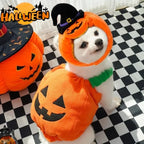 Halloween Pumpkin Costume for Pets