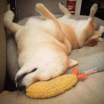 Squeaky Shrimp Dog Toy