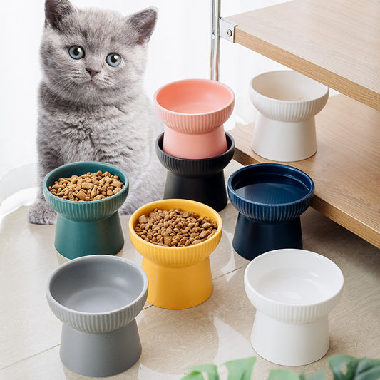 Elevated Ceramic Cat Bowl with High Foot and Neck Protection