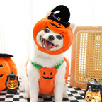 Halloween Pumpkin Costume for Pets