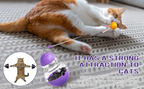 Tumbler Cat Treat Dispenser Toy