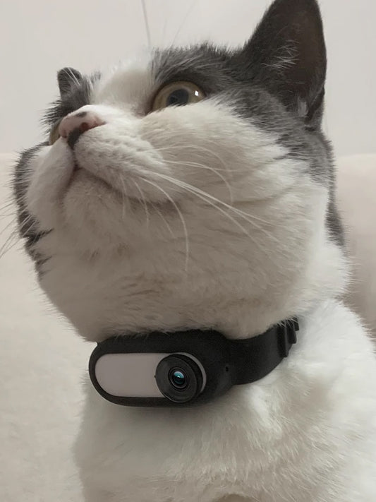 Cat And Dog Collar Camera Indoor And Outdoor Wireless Recording
