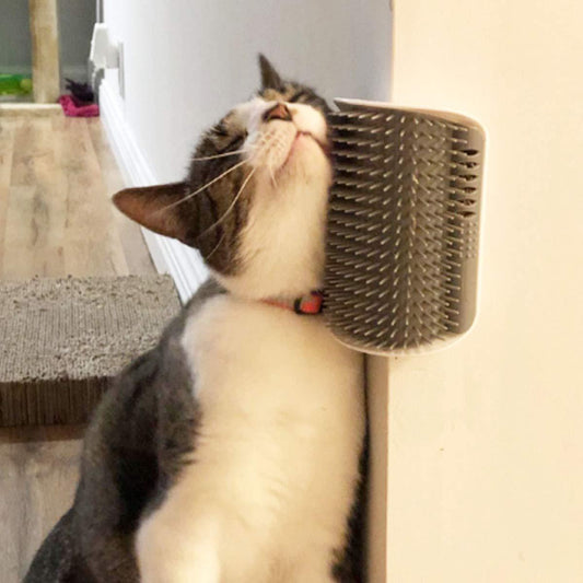 Cat Self-Groomer Corner Wall Hair-Removing Massage Brush