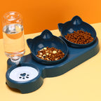 Cervical Spine Automatic Pet Drinking Bowl