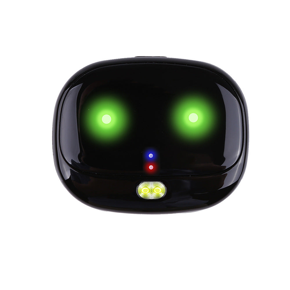 4G GPS Pet Tracker Collar with Night Vision