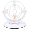 ToyTigris turntable educational cat toy