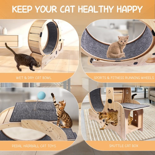 ToyTigris 6-in-1 Cat Fitness Wheel and Activity Centre
