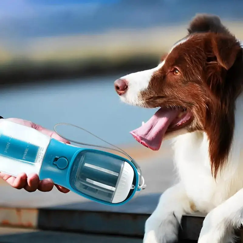 Three-in-one Dog Water Cup Drinking Food Garbage Bag