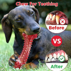 Natural Rubber Dog Bite Toy