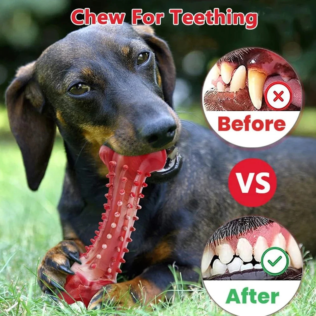 Natural Rubber Dog Bite Toy