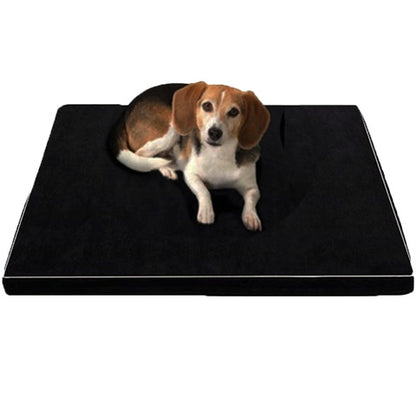 Arthur Orthopedic Memory Foam Dog Bed – Large & Senior Dogs