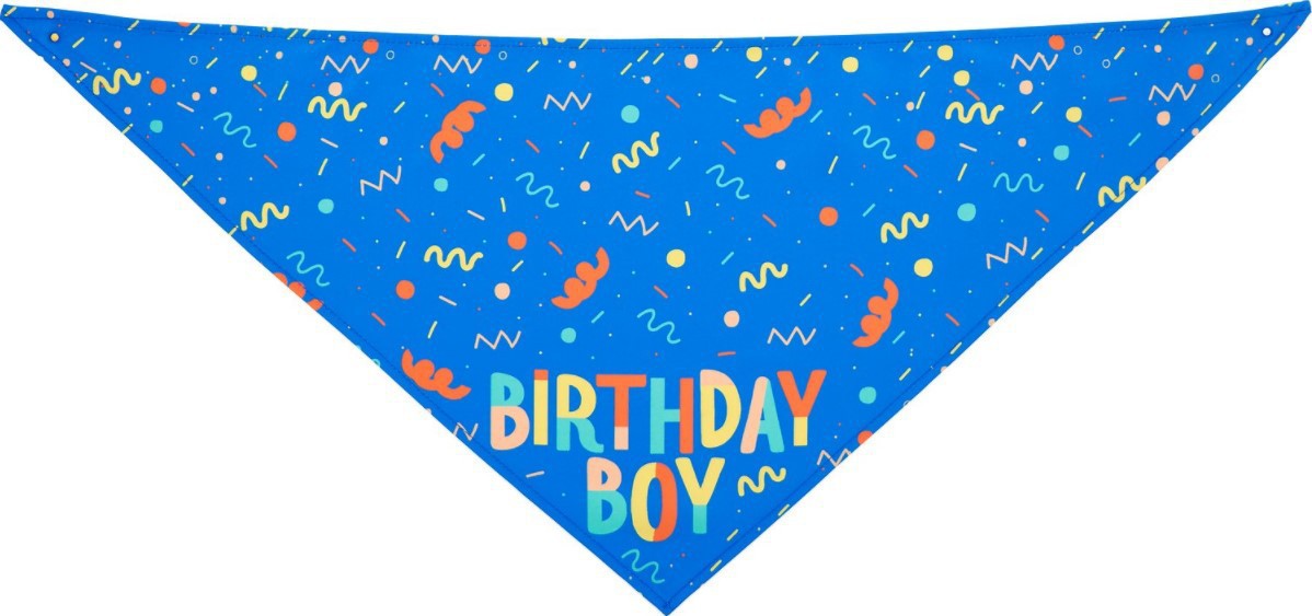ToyTigris Dog Birthday Scarf and Toy Bone Set
