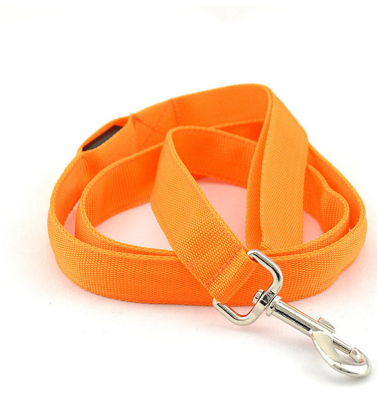 Toytigris LED Dog Leash