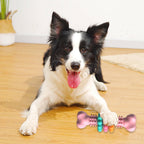ToyTigris TPR Dental Chew Toy for Dogs