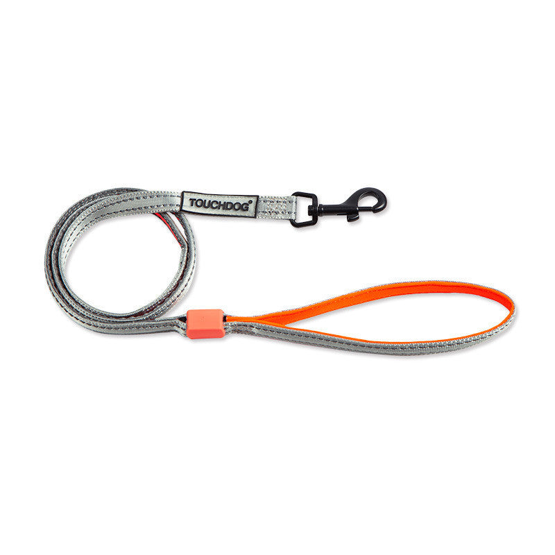TouchDog LED pet leash set