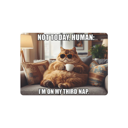 Metal Art Sign - Funny Cat Wall Art