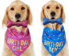 ToyTigris Dog Birthday Scarf and Toy Bone Set