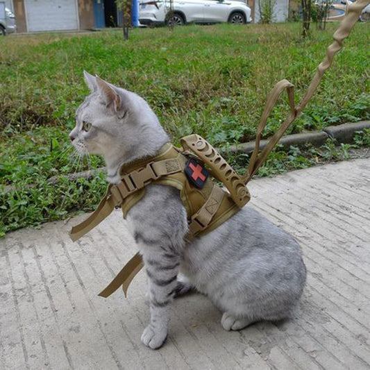 Adjustable Tactical Cat Harness 600D