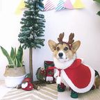 Stylish Dog Christmas Shoes - Comfy Holiday Paw Protection