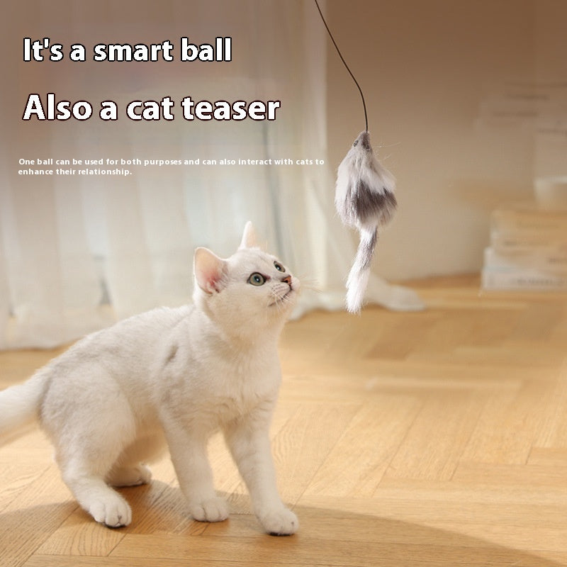 ToyTigris Intelligent Moving Ball With a Mouse Tail