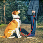 Reflective Dog Leash Nylon Rope