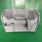 Pet Travel Carrier
