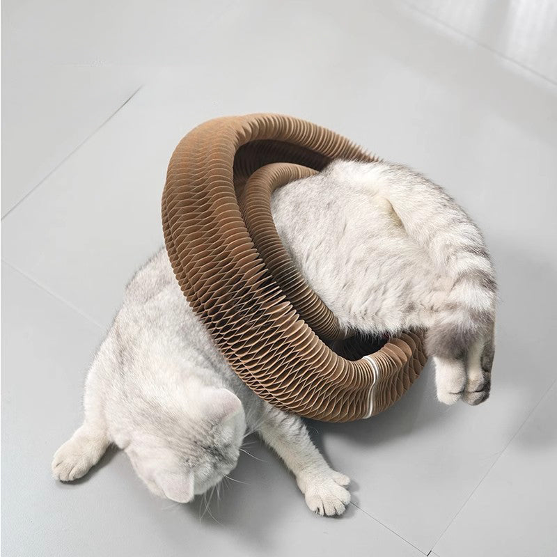 ToyTigris Curly Cat Scratcher and Bell Toy