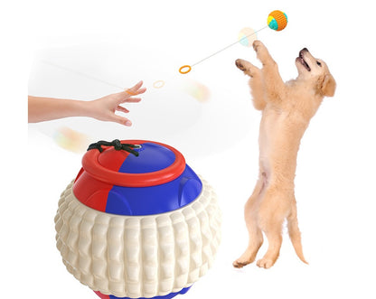 Throwing Ball Bite Resistant Dog Toy