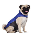 Waterproof Dog Vest Jacket – Autumn & Winter Pet Clothes