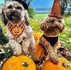 Halloween Pumpkin Dog Plaid Bandana