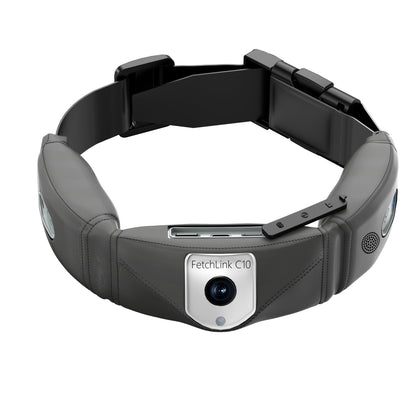 C10 Multifunctional Smart Pet Collar Health Monitoring