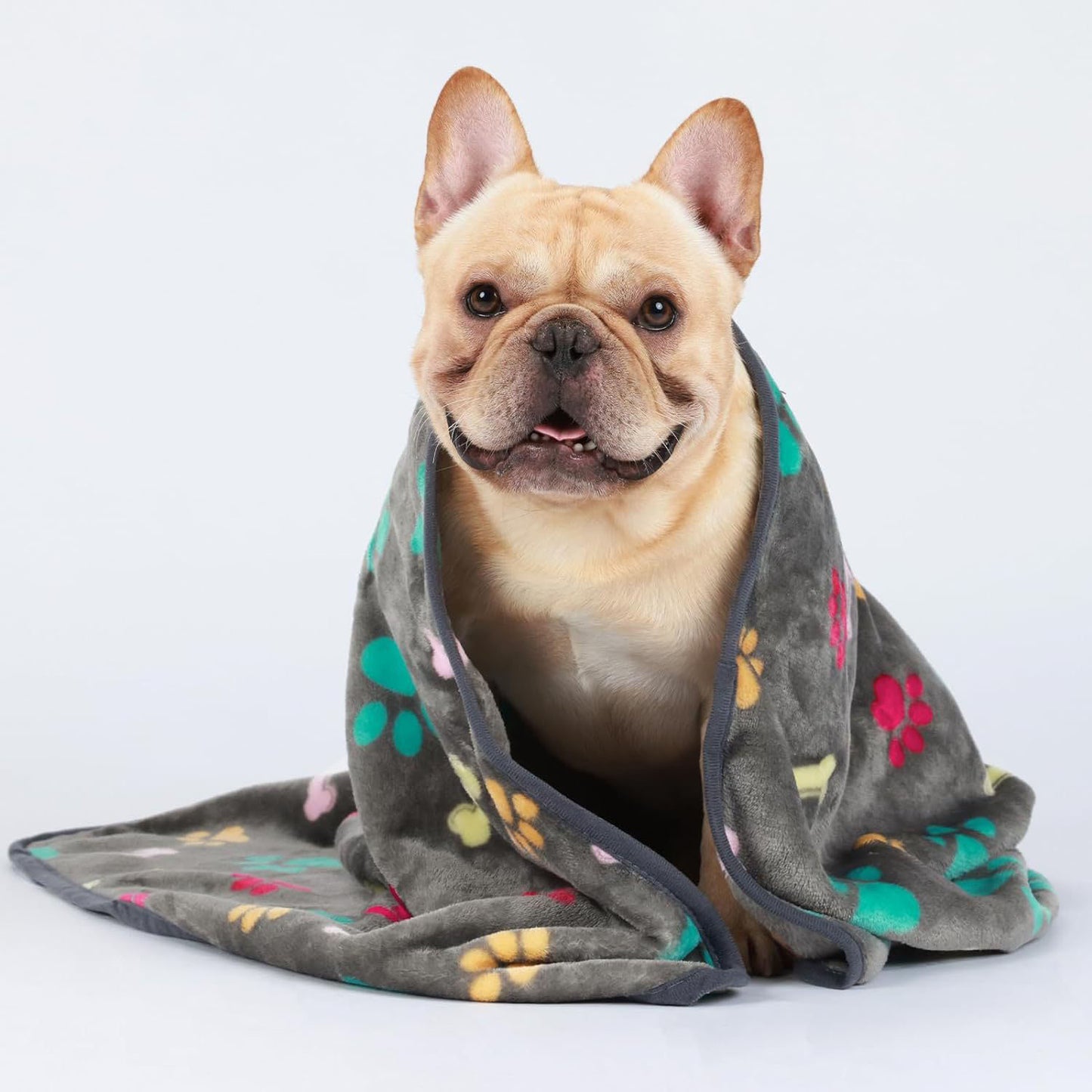 Confetti Bone Paw Print Pet Blanket