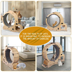 ToyTigris 6-in-1 Cat Fitness Wheel and Activity Centre