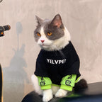 YELVPET Autumn & Winter Pet Sweater