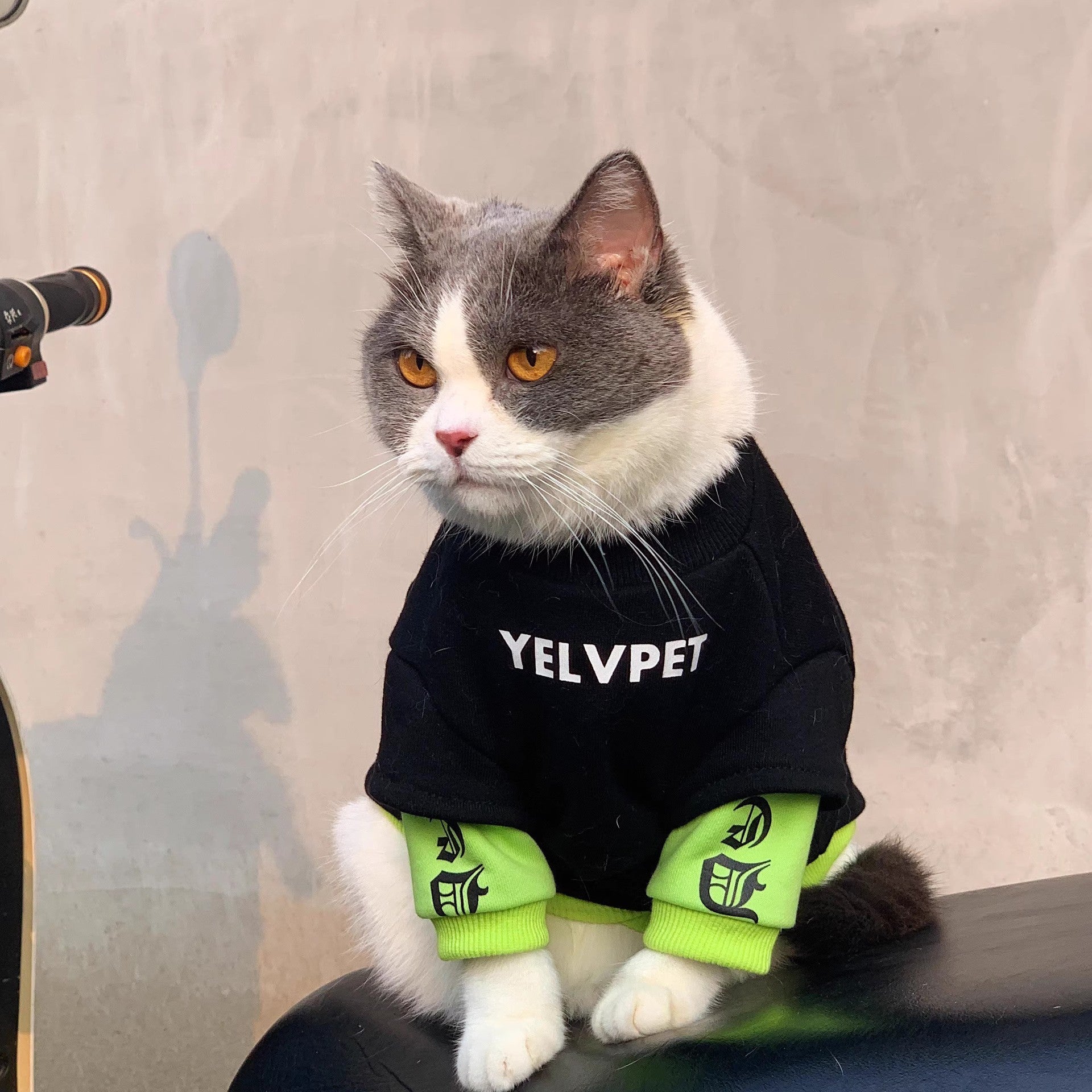 YELVPET Herbst- & Winter-Haustierpullover