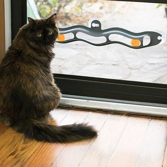 Window Cat Ball Track Toy