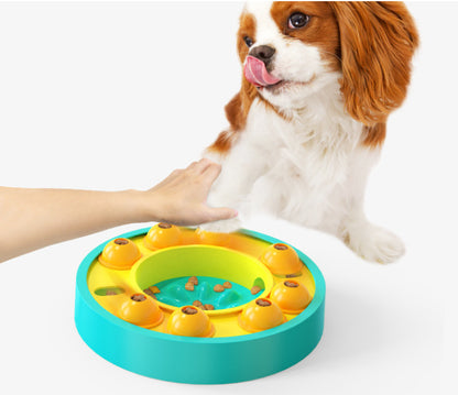 IQ Training Feeder Dog & Cat Toy