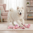 ToyTigris Cotton Rope Dog Toy Set