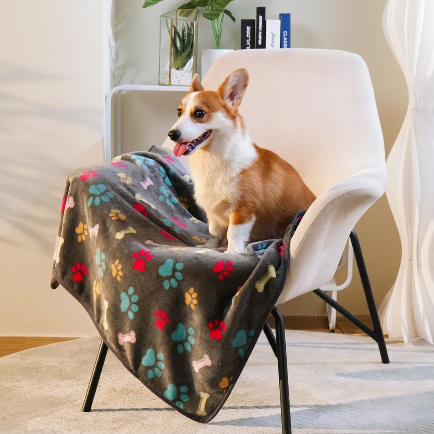 Confetti Bone Paw Print Pet Blanket