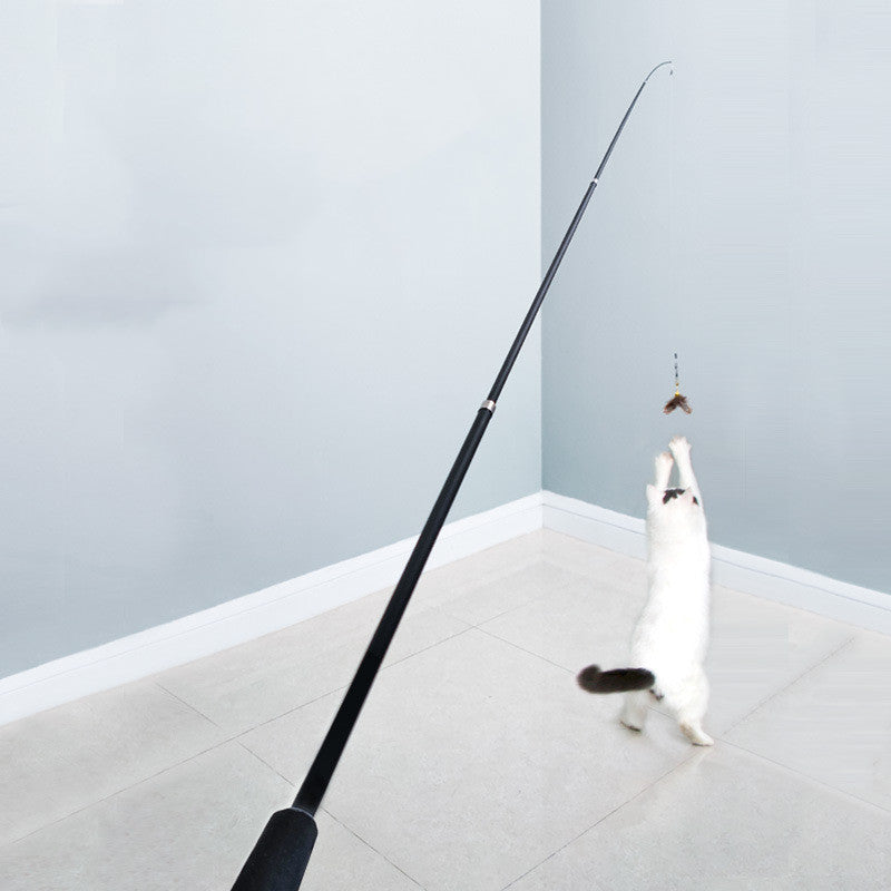 Cat playing with 180cm extendable feather wand interactive toy for exercise